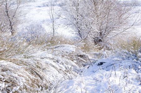 Picture of a landscape snow from spain.の写真素材