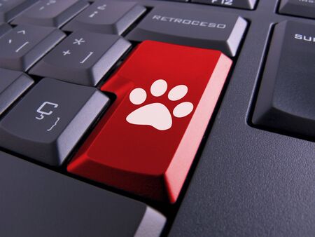 Picture of a keyboard with nice symbols.の写真素材