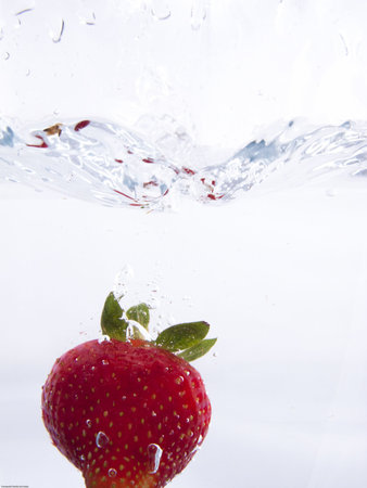 Fresh fruit´s picture over white backgroundの写真素材