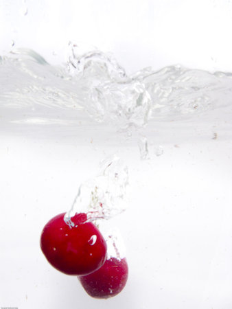 Fresh fruit´s picture over white backgroundの写真素材