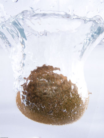 Fresh fruit´s picture over white backgroundの写真素材