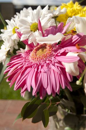 Flower detail  picture with vivid colors.の写真素材
