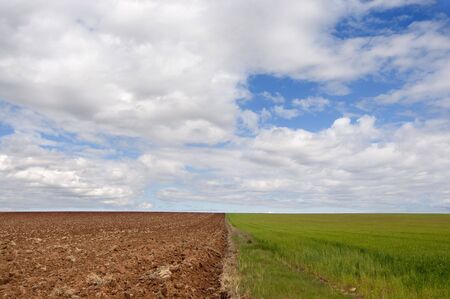 Picture of a cultivation landscape with two different areas.の写真素材