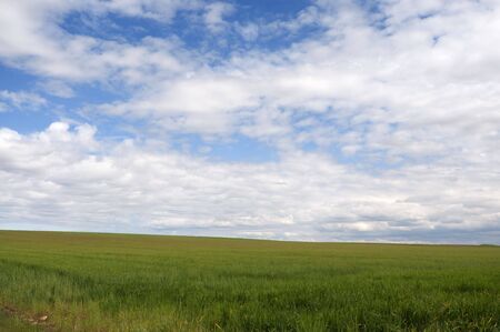 Picture of a cultivation landscape with two different areas.の写真素材