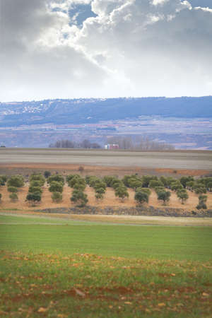 Farm fieldの写真素材