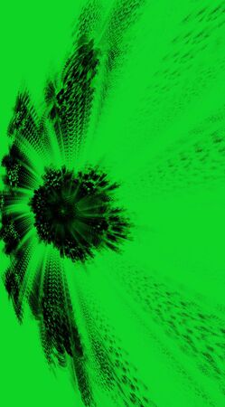 Forest, abstract, green natureの写真素材