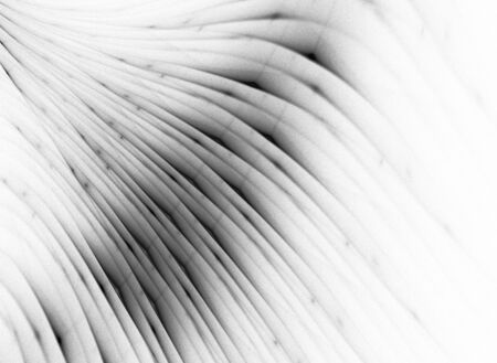 Modern design. Beautiful abstract background with nice colors.の写真素材