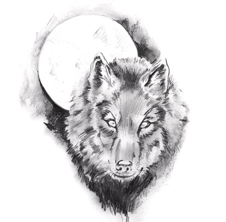 Sketch of tattoo art, wolf