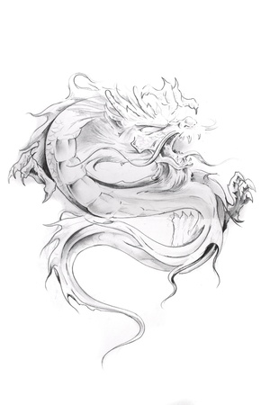 Tattoo art, sketch of an oriental dragonの写真素材