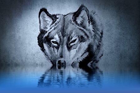 Tattoo of a wolf's head with water reflectionsの写真素材