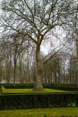 Gardens of the Palace of Aranjuez, Madrid, Spainの写真素材