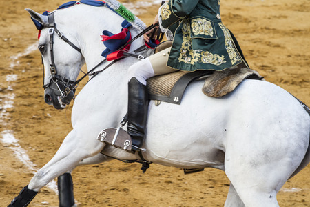 Bullfight in Camarma of Esteruelas, Madrid. 2011. mounted bullfighter, bullfight, typical Spanish.のeditorial素材