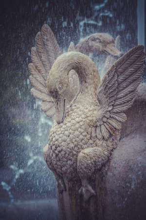 Ducks, Ornamental fountains of the Palace of Aranjuez, Madrid, Spain.World Heritage Site by UNESCO in 2001のeditorial素材