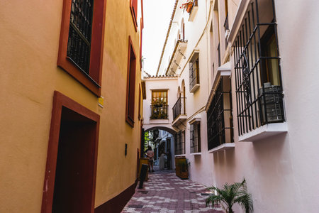 streets of Marbella in Spain with flowers and plants on the facade