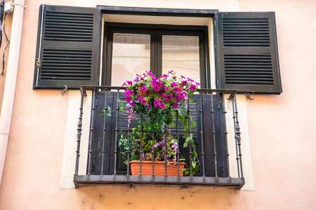 old windows and classical city of San Ildefonso, Palacio de la Granja in Spainの写真素材