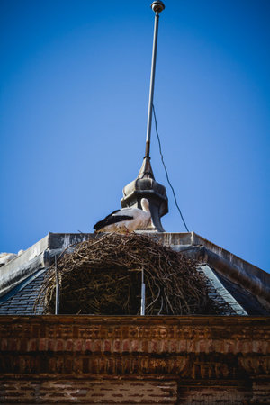 Roof, Spanish town of Alcala de Henares, palaces and ancient universityの写真素材