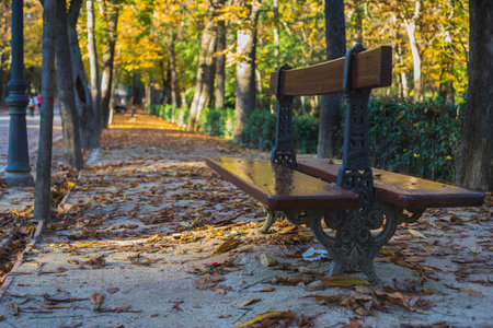lonely bench in the autumn garden in the Retiro Park in Madrid, Spain