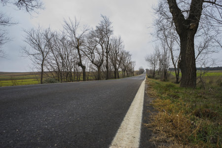 lonely road, desolate landscape with ruins on a cloudy dayの写真素材