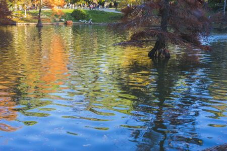 lake with reflections on water autumnの写真素材
