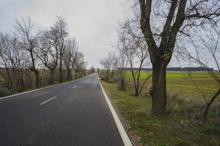 lonely road, desolate landscape with ruins on a cloudy dayの写真素材