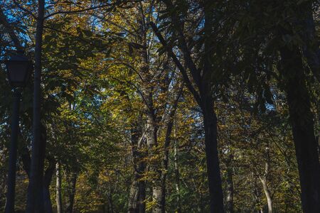 Gardens in Autumn in the Retiro Park in Madrid, Spainの写真素材