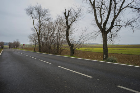 lonely road, desolate landscape with ruins on a cloudy dayの写真素材