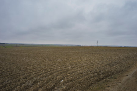 desolate landscape with ruins on a cloudy day
