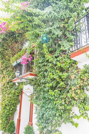 gardening, traditional Andalusian streets with flowers and white houses in Marbella, Andalucia Spainの写真素材