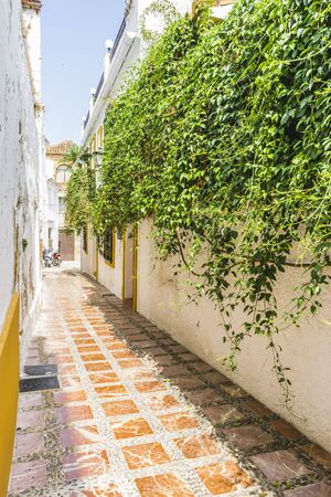 narrow streets and typical of Marbella, white walls with floral balconies in Andalusia Spainの写真素材