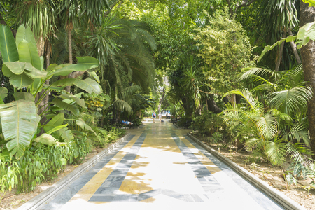 lush summer gardens in Marbella, Andalucia Spainの写真素材