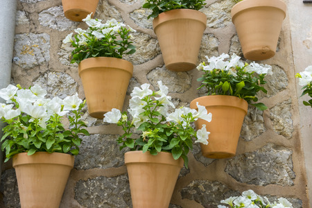Pots hanging on the wall with flowers in the city of Valldemosa in the Balearic Islands Spainの写真素材