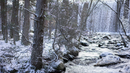 Snowy landscape with river and waterfall in the background. frozen treesの写真素材
