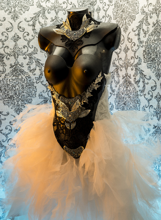 Wedding dress, gothic style handmade dress with black lace fabrics and piezsa in gold and silverの写真素材