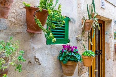 Pots hanging on the wall with flowers in the city of Valldemosa in the Balearic Islands Spainの写真素材