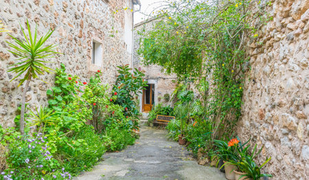 Travel Beautiful street in Valldemossa with traditional flower decoration, famous old mediterranean...