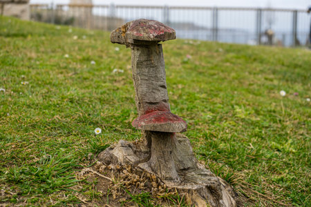 mushroom carved in a tree in a forest, work of the artisan man carving pieces in dead trees