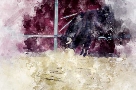 Entertainment, spectacle of bullfighting, where a bull fighting a bullfighter Spanish traditionの写真素材