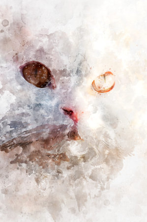 White persian kitten with watercolor paint effectの写真素材
