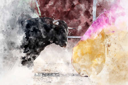 Bullfight. Fighting bull picture from Spain. Black bullの写真素材
