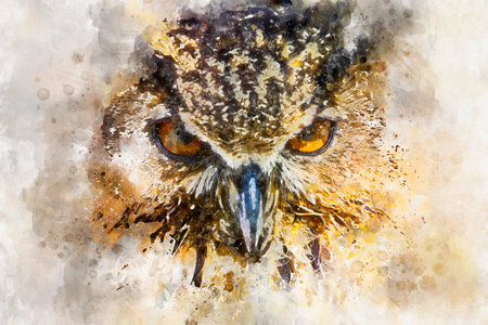 watercolor, beautiful owl with intense eyes and beautiful plumageの写真素材