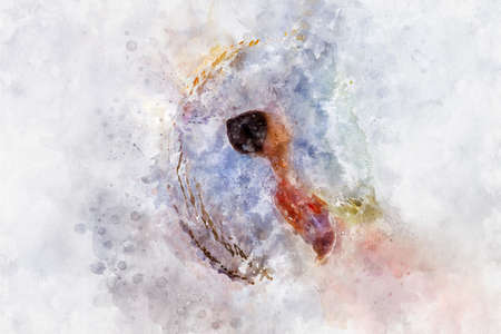 Watercolor, Owl portrait, white birdの写真素材