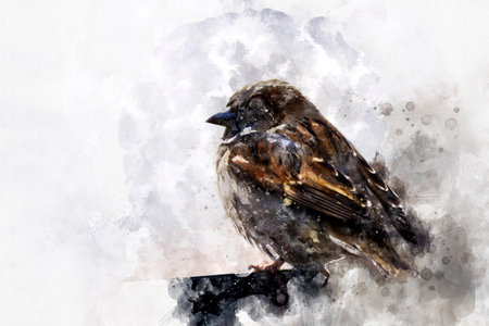 Watercolor, sparrow detail leaning on a chair at a terraceの写真素材