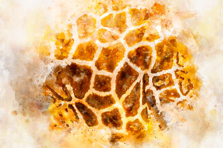 watercolor, skin detail, beautiful giraffe in a zoo parkの写真素材