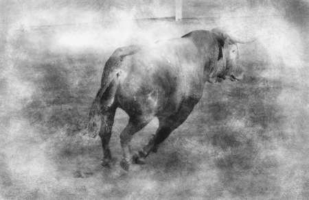 Spanish brown bull in the bullring with sand black and white drawingの写真素材