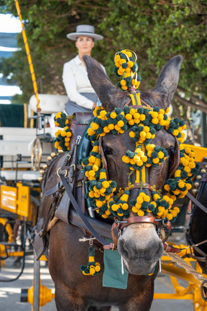 MALAGA, SPAIN - 14 AUGUST 2023. Andalusian fair of Malaga.のeditorial素材