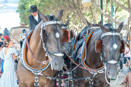 MALAGA, SPAIN - 14 AUGUST 2023. Andalusian fair of Malaga.のeditorial素材