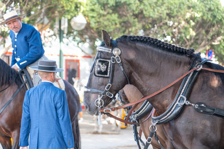MALAGA, SPAIN - 14 AUGUST 2023. Andalusian fair of Malaga.のeditorial素材