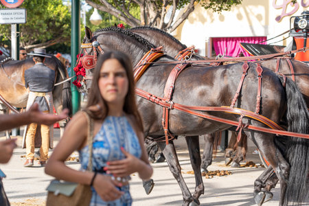 MALAGA, SPAIN - 14 AUGUST 2023. Andalusian fair of Malaga.のeditorial素材