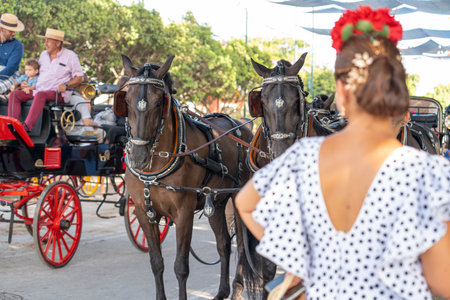 MALAGA, SPAIN - 14 AUGUST 2023. Andalusian fair of Malaga.のeditorial素材