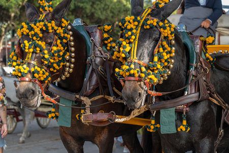 Experience the essence of Spain as horses and riders grace the streets of Malaga. A blend of history, music, and dance, the fair offers a unique window into traditional Andalusian life.の写真素材